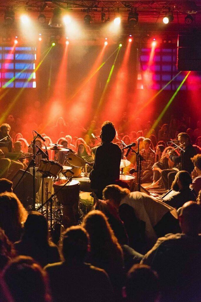 Person playing music at concert